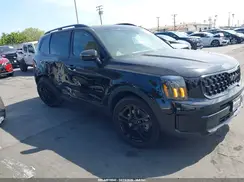 5XYP3DGC0SG651686 2025 KIA TELLURIDE