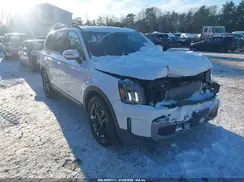 5XYP3DGC1PG338136 2023 KIA TELLURIDE
