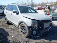 5XYP3DGC1RG418796 2024 KIA TELLURIDE