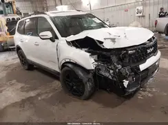 5XYP3DGC1RG436084 2024 KIA TELLURIDE