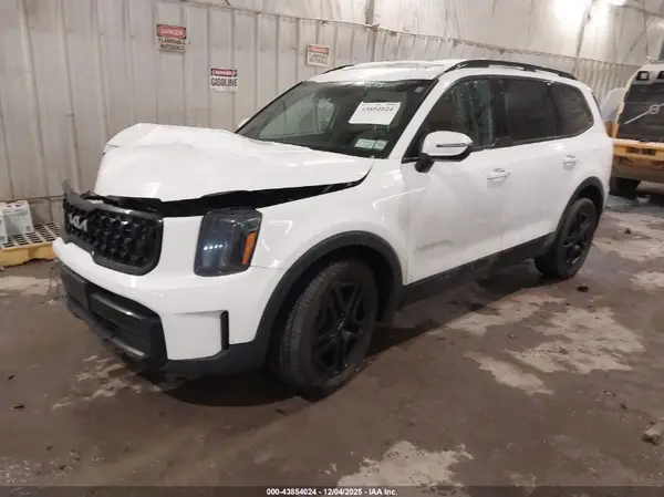 5XYP3DGC1RG436084 2024 KIA TELLURIDE - Image 2