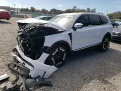 5XYP3DGC1RG442032 2024 KIA TELLURIDE