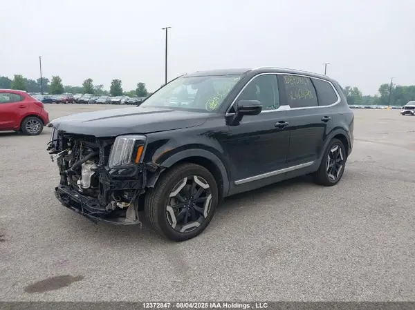 5XYP3DGC1RG448428 2024 KIA TELLURIDE - Image 2