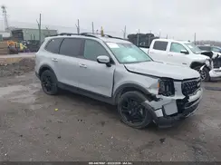 5XYP3DGC1RG486449 2024 KIA TELLURIDE
