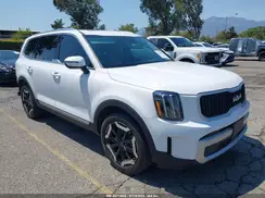 5XYP3DGC1RG499816 2024 KIA TELLURIDE