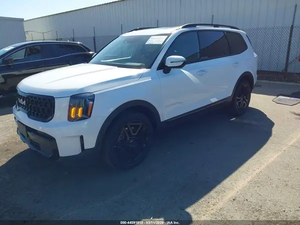 5XYP3DGC1RG507431 2024 KIA TELLURIDE - Image 2