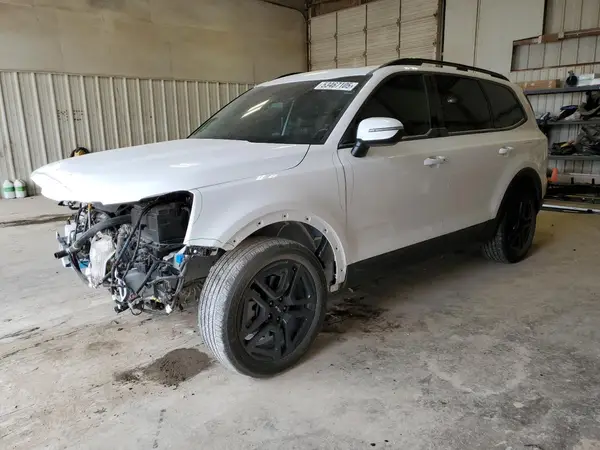 5XYP3DGC1RG520082 2024 KIA TELLURIDE - Image 1