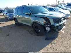 5XYP3DGC1RG556502 2024 KIA TELLURIDE