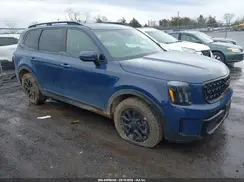 5XYP3DGC1SG582393 2025 KIA TELLURIDE