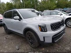 5XYP3DGC1SG598593 2025 KIA TELLURIDE