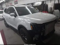 5XYP3DGC1SG635576 2025 KIA TELLURIDE