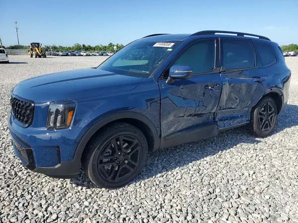 5XYP3DGC1SG675513 2025 KIA TELLURIDE - Image 1