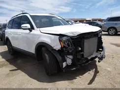 5XYP3DGC1SG732065 2025 KIA TELLURIDE