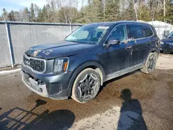5XYP3DGC2PG360467 2023 KIA TELLURIDE
