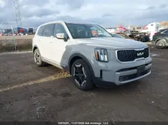 5XYP3DGC2PG403754 2023 KIA TELLURIDE
