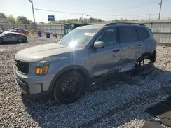 5XYP3DGC2RG442654 2024 KIA TELLURIDE