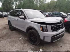 5XYP3DGC2RG501234 2024 KIA TELLURIDE