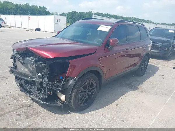 5XYP3DGC2RG538459 2024 KIA TELLURIDE - Image 2
