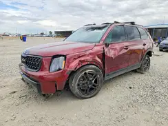 5XYP3DGC2RG543810 2024 KIA TELLURIDE