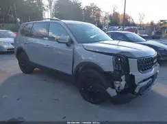 5XYP3DGC2RG559666 2024 KIA TELLURIDE