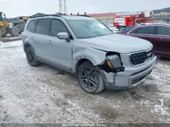 5XYP3DGC3PG343550 2023 KIA TELLURIDE