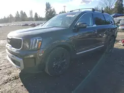 5XYP3DGC3PG403391 2023 KIA TELLURIDE