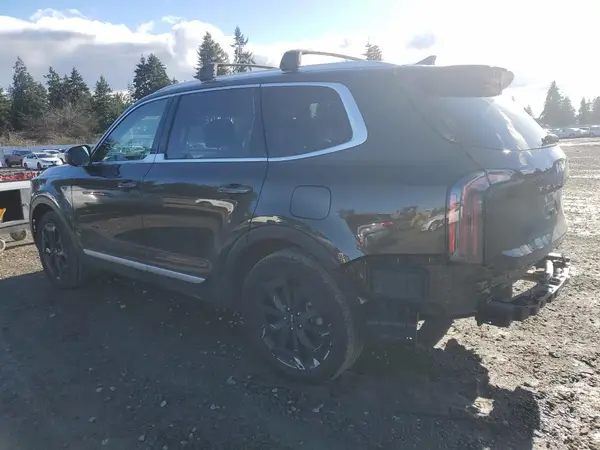 5XYP3DGC3PG403391 2023 KIA TELLURIDE - Image 2
