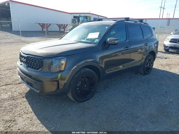 5XYP3DGC3RG440556 2024 KIA TELLURIDE - Image 2