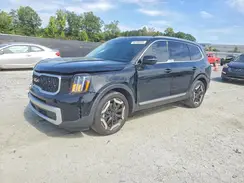 5XYP3DGC3RG457325 2024 KIA TELLURIDE