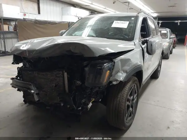 5XYP3DGC3RG487764 2024 KIA TELLURIDE - Image 2