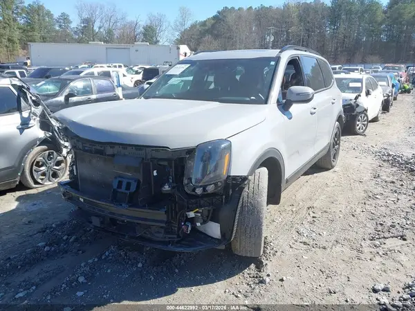 5XYP3DGC3RG495413 2024 KIA TELLURIDE - Image 2