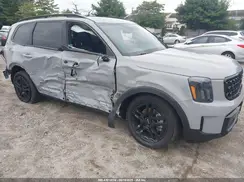 5XYP3DGC3RG516485 2024 KIA TELLURIDE