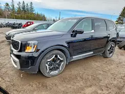 5XYP3DGC3RG516955 2024 KIA TELLURIDE