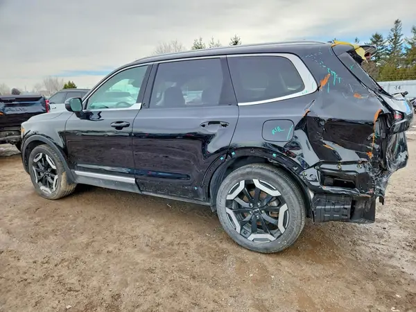5XYP3DGC3RG516955 2024 KIA TELLURIDE - Image 2