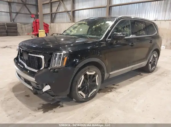 5XYP3DGC3RG526286 2024 KIA TELLURIDE - Image 2