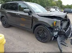 5XYP3DGC3RG529530 2024 KIA TELLURIDE