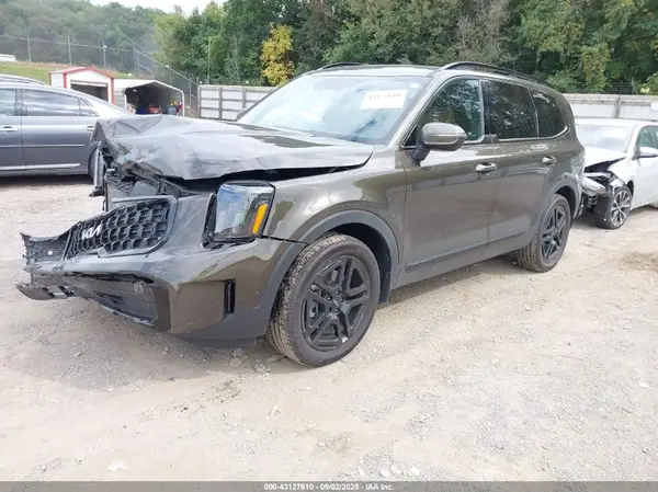 5XYP3DGC3RG529530 2024 KIA TELLURIDE - Image 2