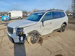 5XYP3DGC3RG557053 2024 KIA TELLURIDE