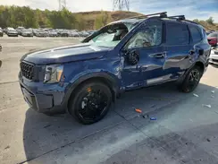 5XYP3DGC3RG561510 2024 KIA TELLURIDE