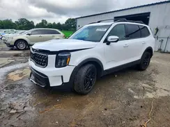 5XYP3DGC3SG570858 2025 KIA TELLURIDE