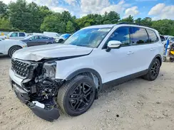 5XYP3DGC3SG607598 2025 KIA TELLURIDE