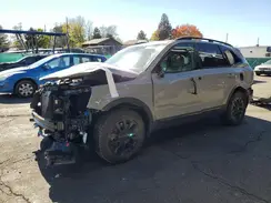 5XYP3DGC3SG631769 2025 KIA TELLURIDE