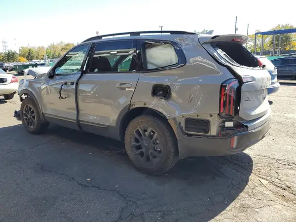 5XYP3DGC3SG631769 2025 KIA TELLURIDE - Image 2