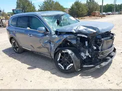 5XYP3DGC3SG640746 2025 KIA TELLURIDE