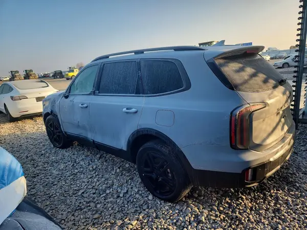 5XYP3DGC3SG650385 2025 KIA TELLURIDE - Image 2