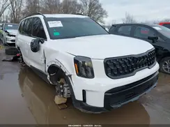 5XYP3DGC3SG662956 2025 KIA TELLURIDE