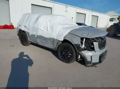 5XYP3DGC3SG679613 2025 KIA TELLURIDE