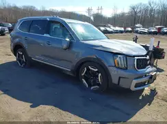 5XYP3DGC3SG685816 2025 KIA TELLURIDE