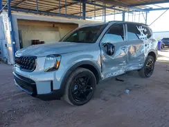 5XYP3DGC3SG695584 2025 KIA TELLURIDE
