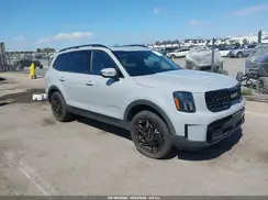 5XYP3DGC4RG413561 2024 KIA TELLURIDE